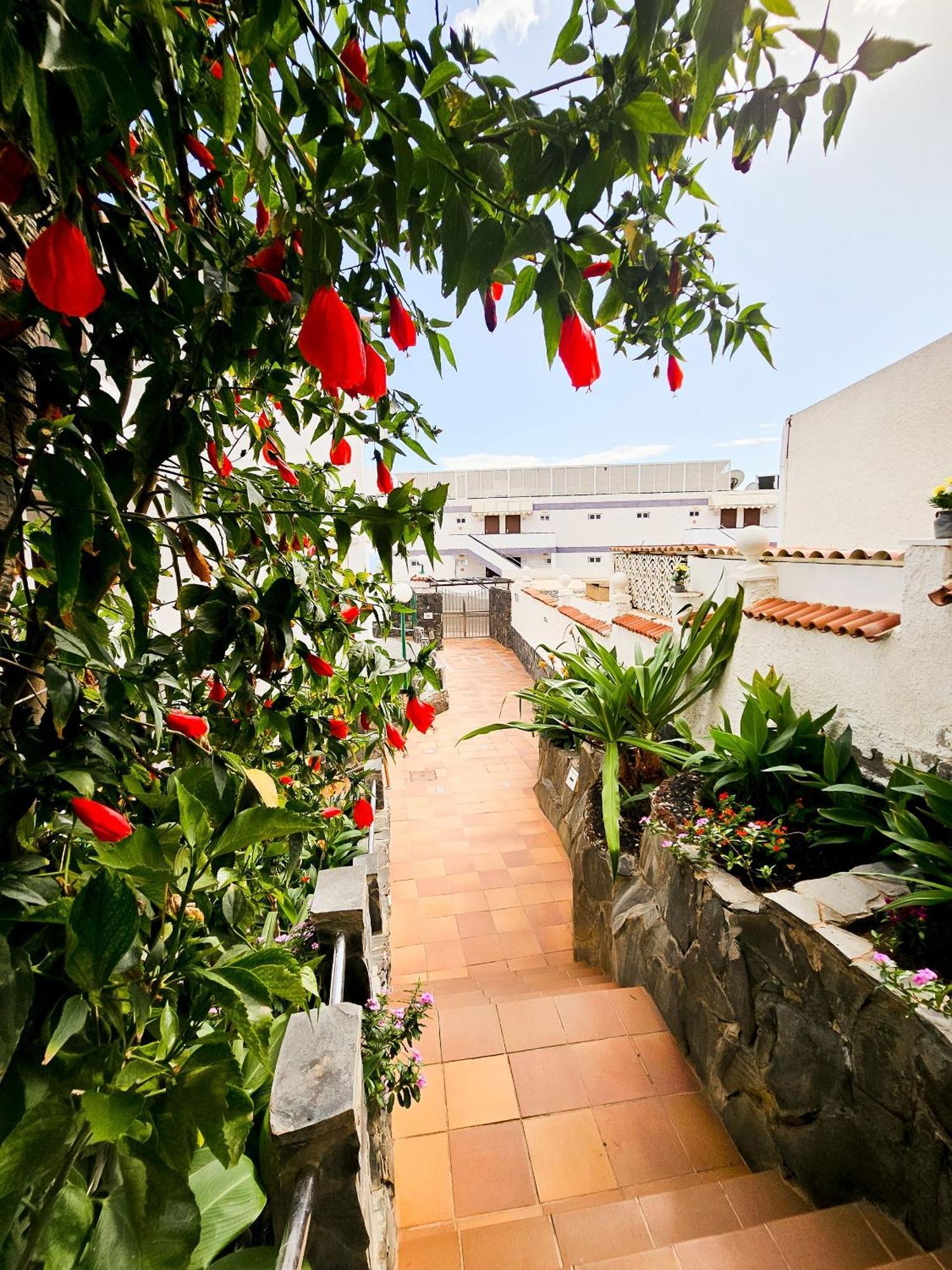 Refugio En El Mar Apartment San Agustín Екстериор снимка
